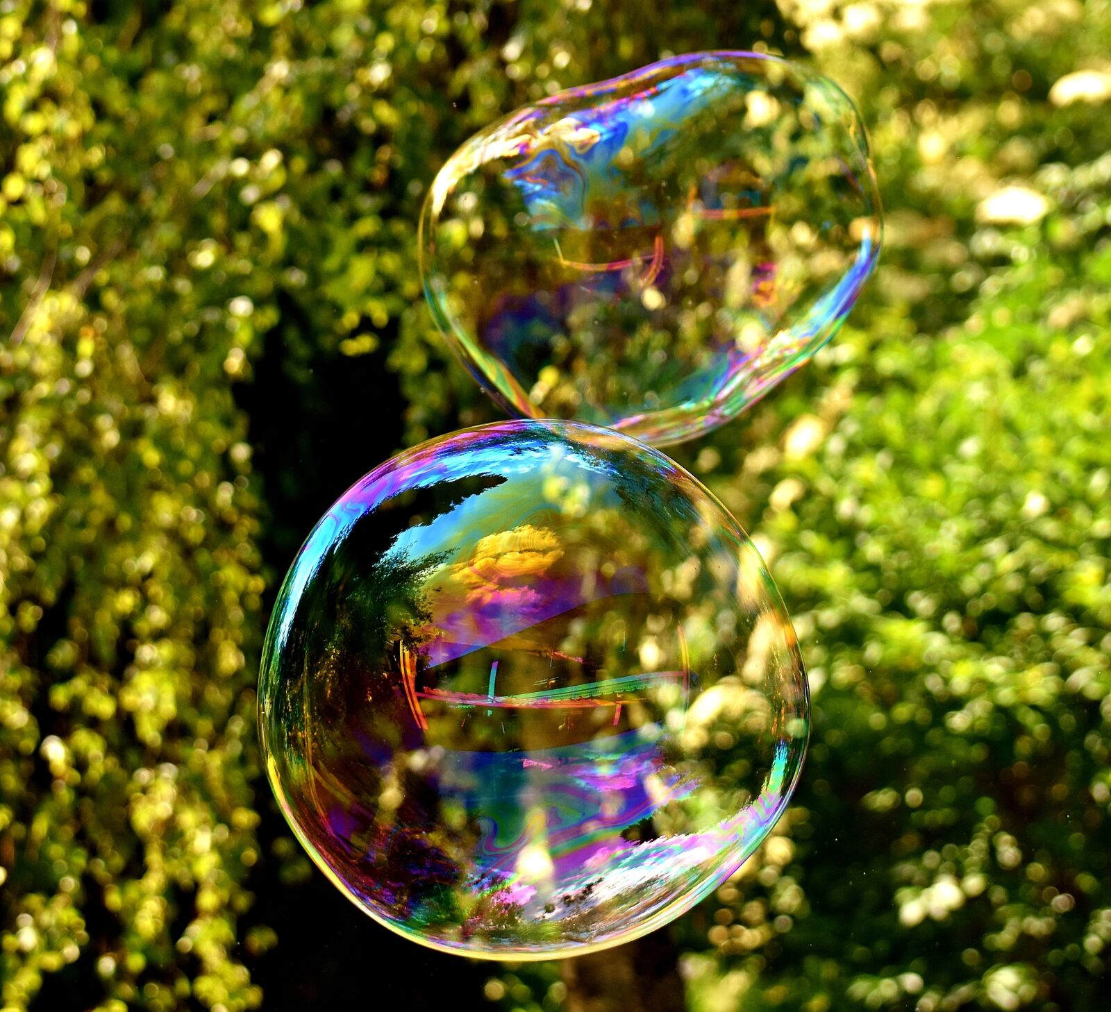 Nikon D7200 sample photo. Soap bubble, huge, large photography