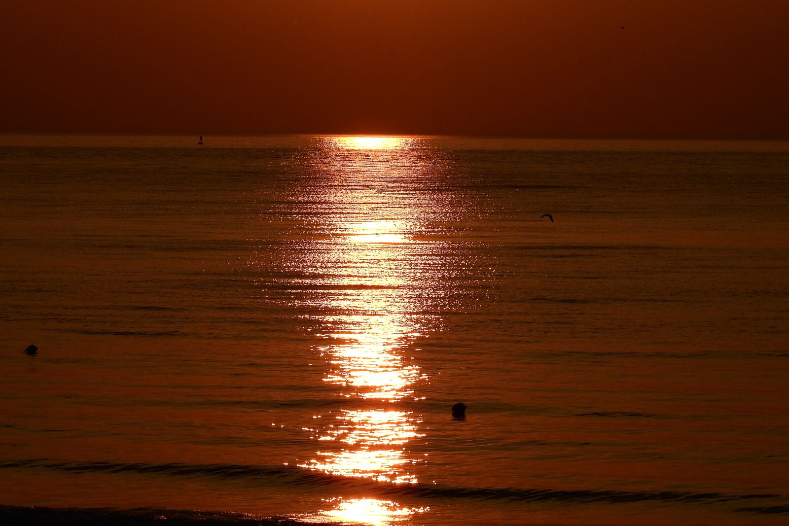 Nikon Coolpix P900 sample photo. Sunset, twilight, sea photography
