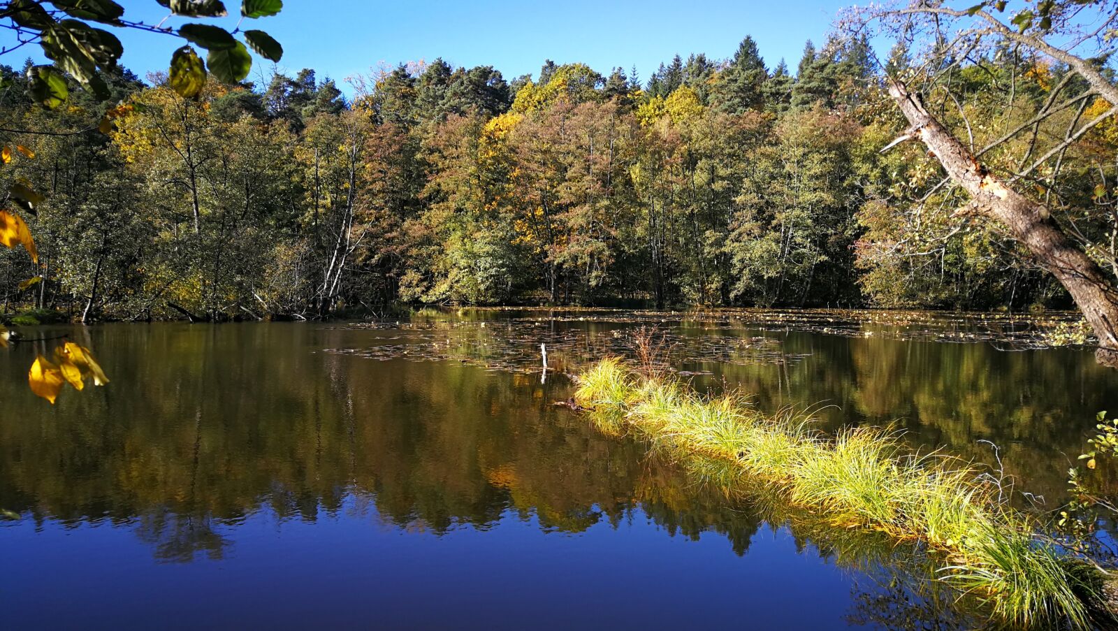 HUAWEI P10 Plus sample photo. Autumn, forest, lake photography