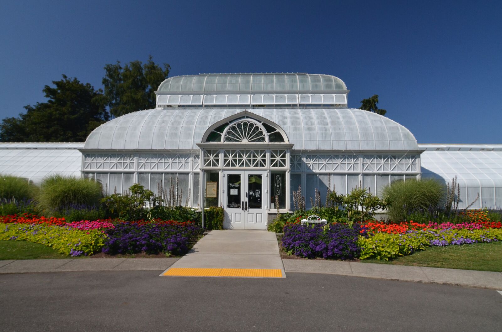 Nikon D7000 sample photo. Seattle, volunteer park, conservatory photography