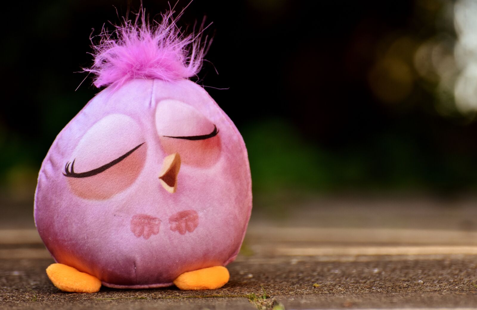 Nikon D7200 sample photo. Bird, soft toy, funny photography