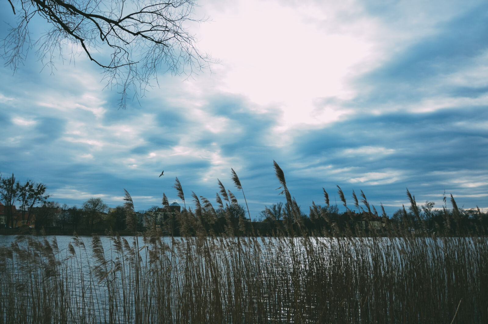 Nikon D3200 sample photo