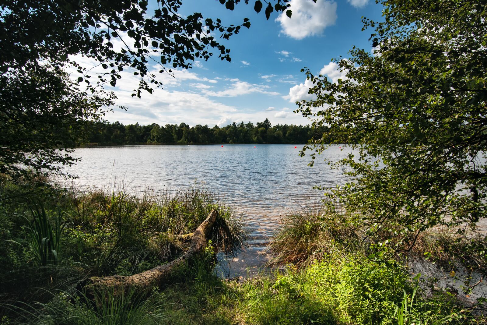 Nikon D300S sample photo. Bullensee, rotenburg, wümme photography