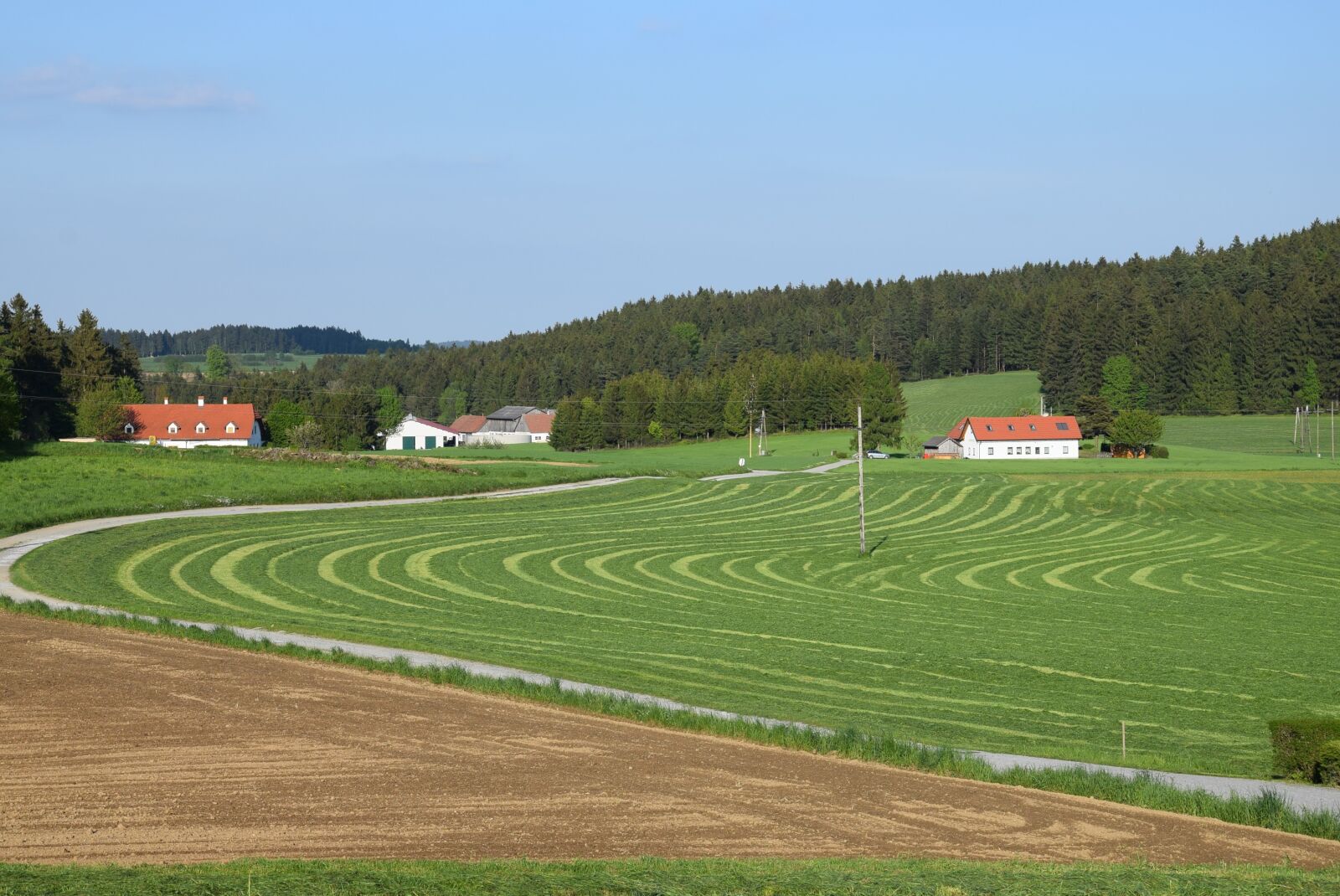Nikon D5300 sample photo. Spring, meadow, landscape photography