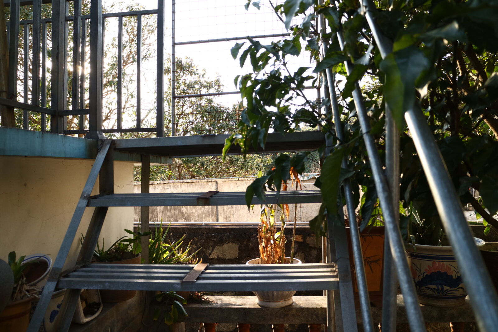 Canon EOS M3 sample photo