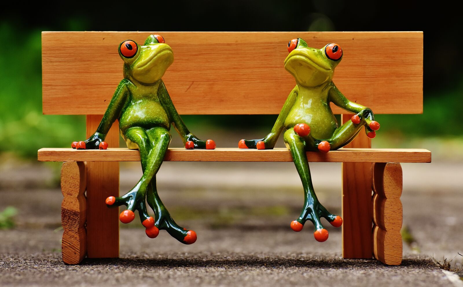Nikon D7200 sample photo. Friends, sit, frogs photography