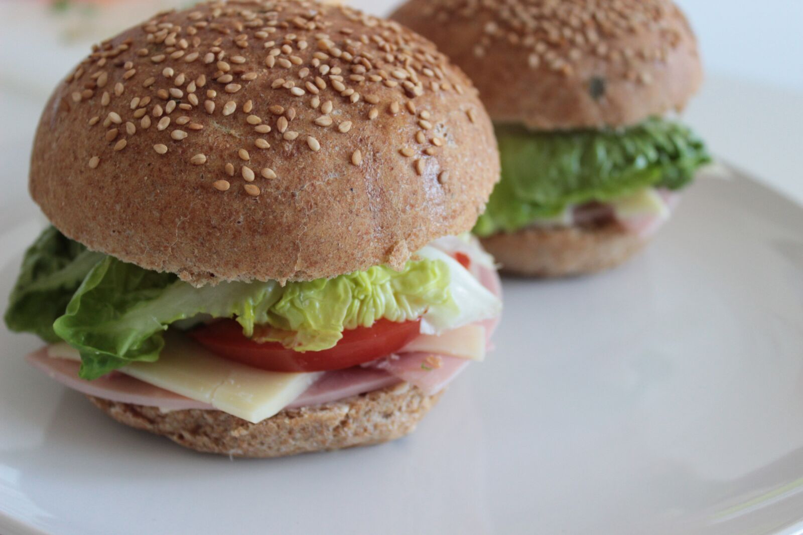 Canon EOS 600D (Rebel EOS T3i / EOS Kiss X5) sample photo. Hamburger, home, whole wheat photography