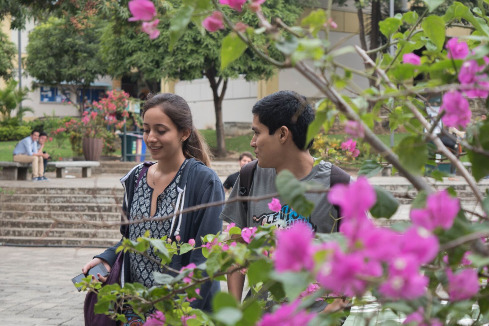 Nikon D5500 sample photo. Flores, estudiantes, campus photography