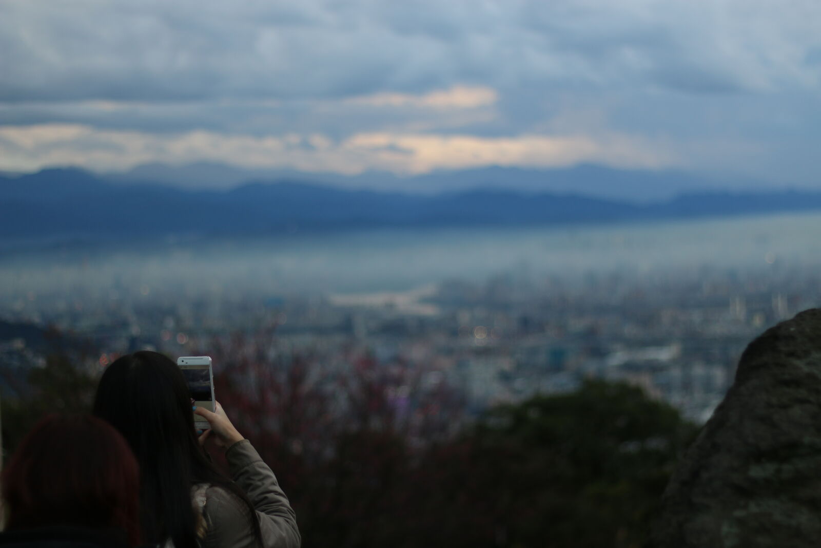 Canon EOS 70D + Canon EF 50mm F1.8 II sample photo