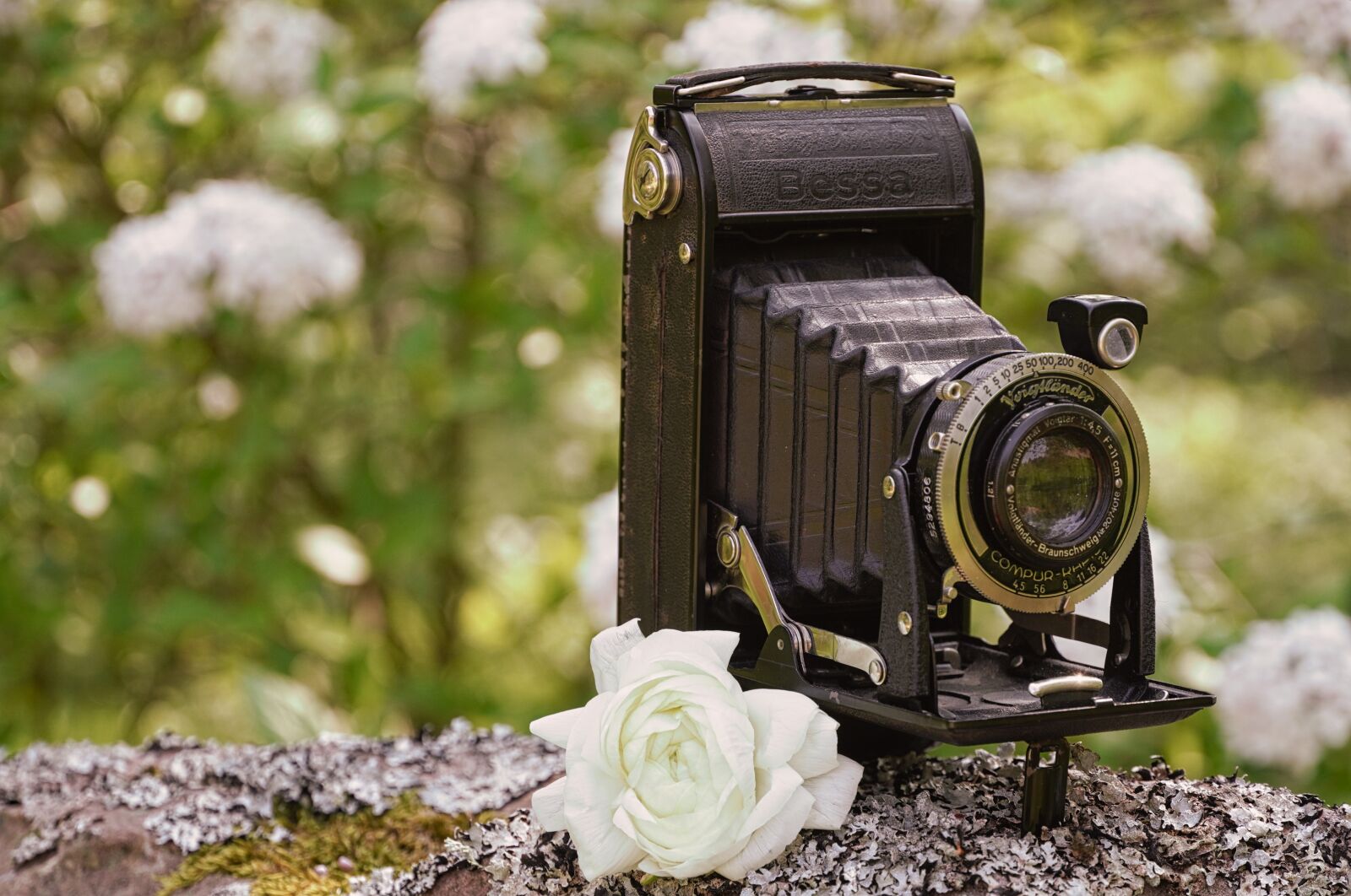 Sony a6400 sample photo. Old camera, retro, photo photography