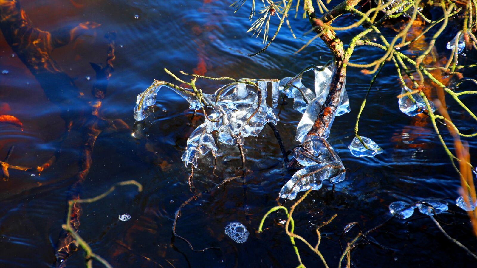 Canon EOS 600D (Rebel EOS T3i / EOS Kiss X5) sample photo. Ice, cold, bach photography