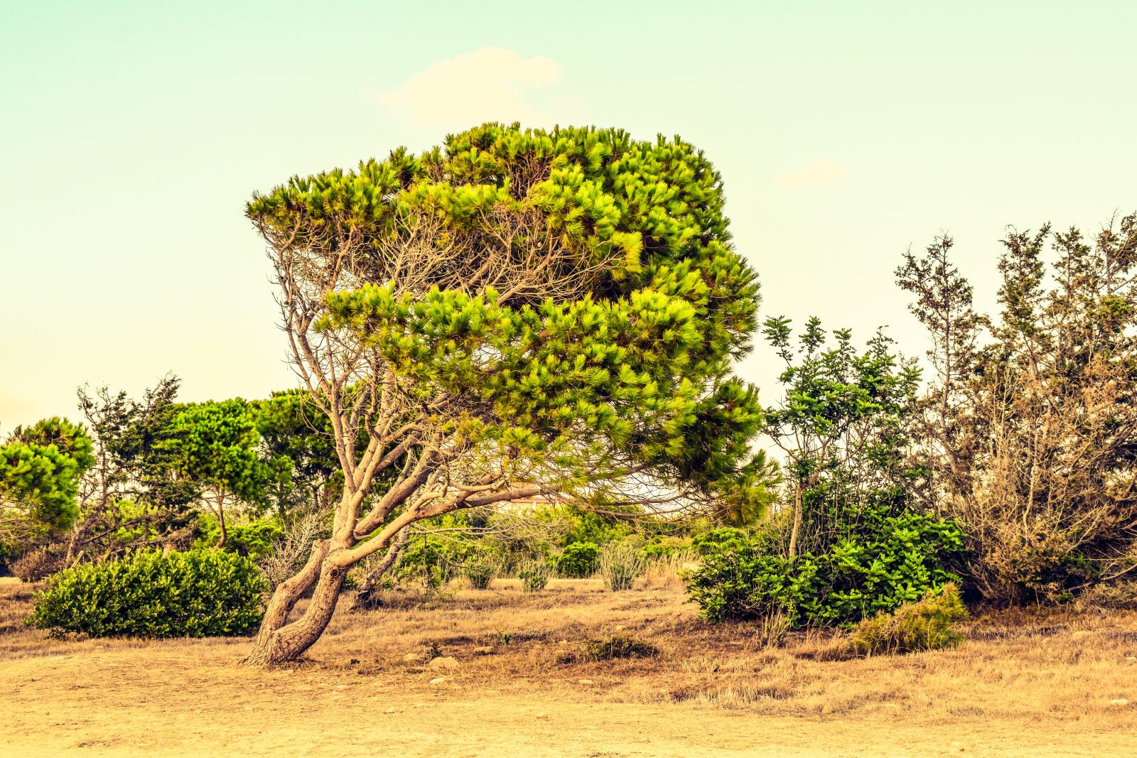 Nikon D3300 sample photo. Cyprus, paphos, landscape photography