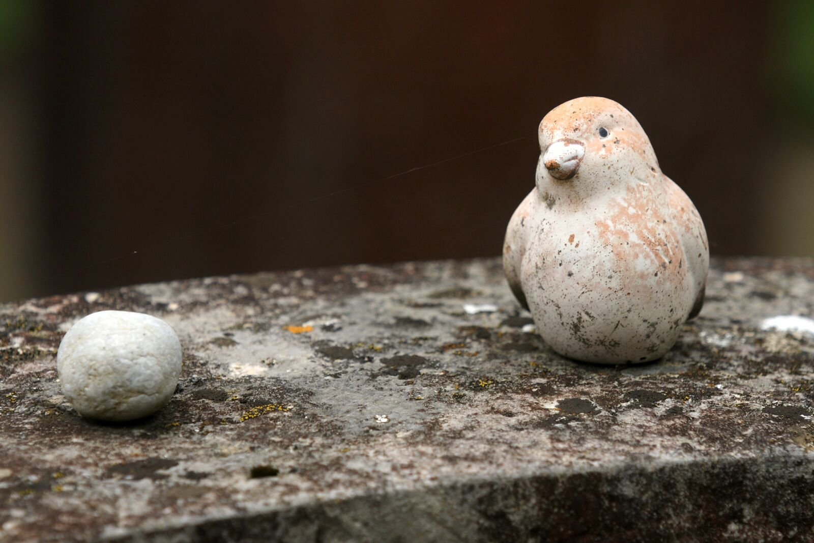 Sony Alpha DSLR-A700 sample photo. Bird, stone, cemetery photography