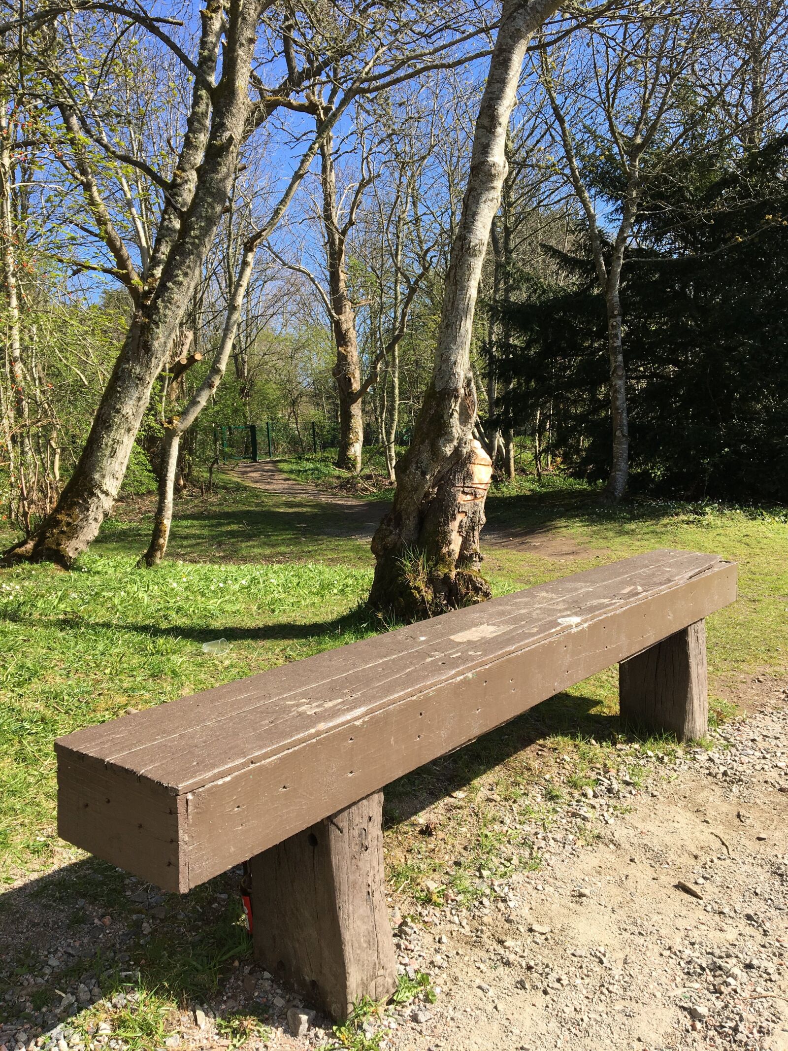 Apple iPhone 6s sample photo. Bench, blue sky, sky photography