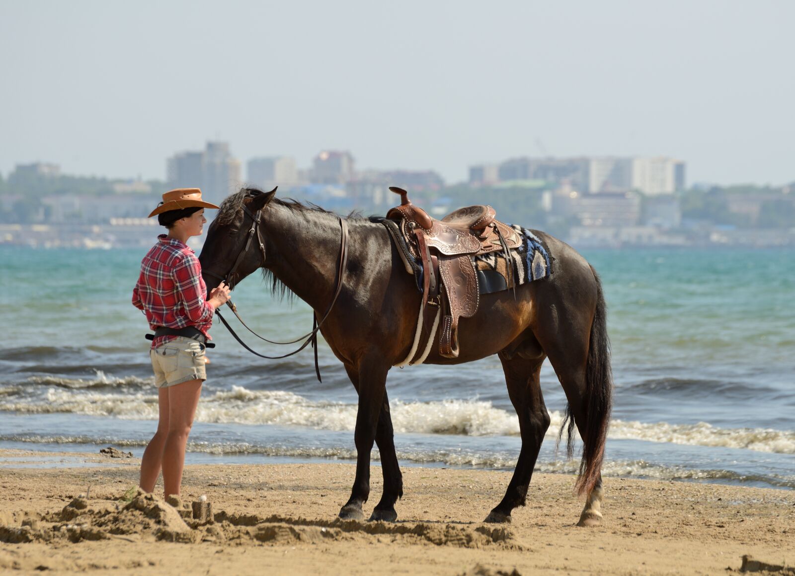 Nikon D800 sample photo. Beach, horse, stroll photography