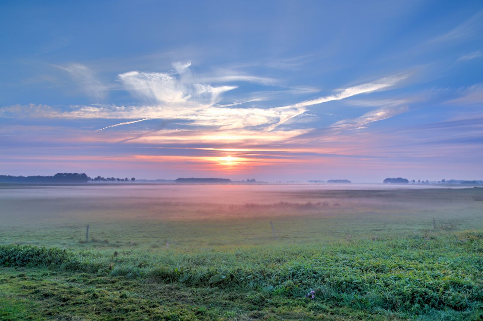 Nikon D610 sample photo. Meadows, sunrise, green photography