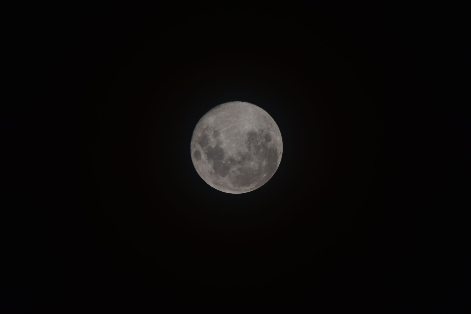 Nikon D3500 sample photo