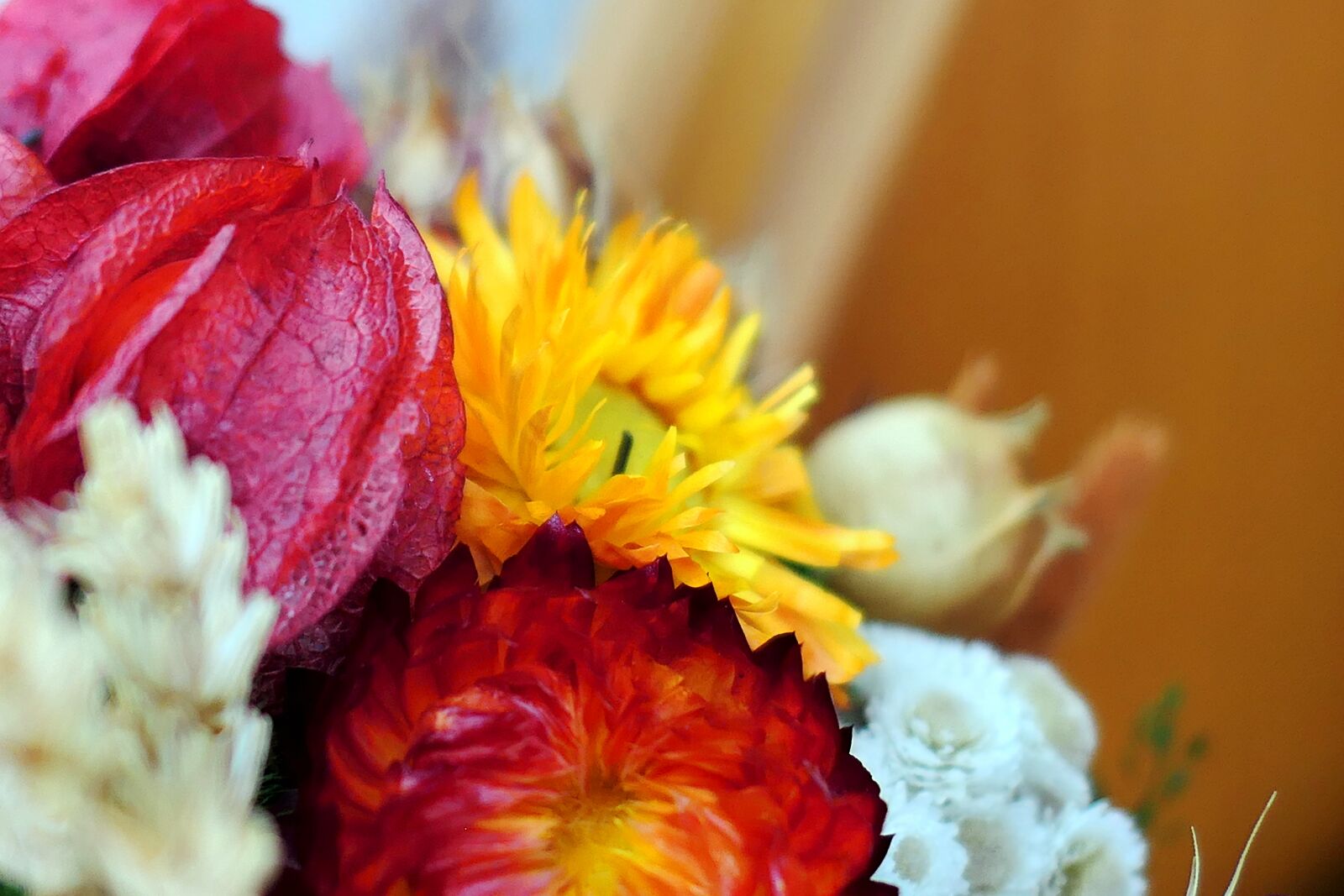 Panasonic Lumix DMC-LX10 (Lumix DMC-LX15) sample photo. Dry bouquet, autumn, flowers photography
