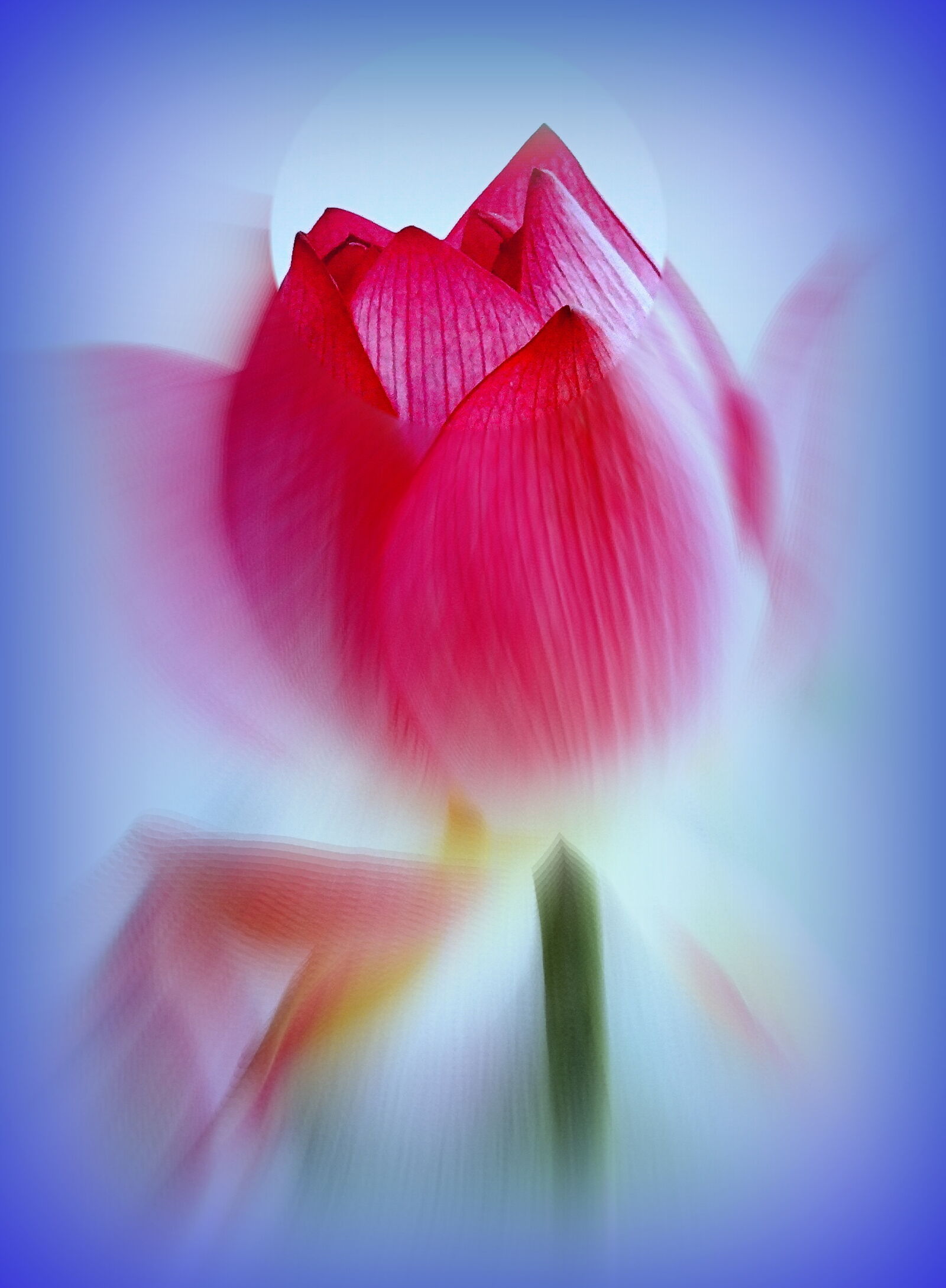 Sony Cyber-shot DSC-HX9V sample photo. Close, up, of, flower photography
