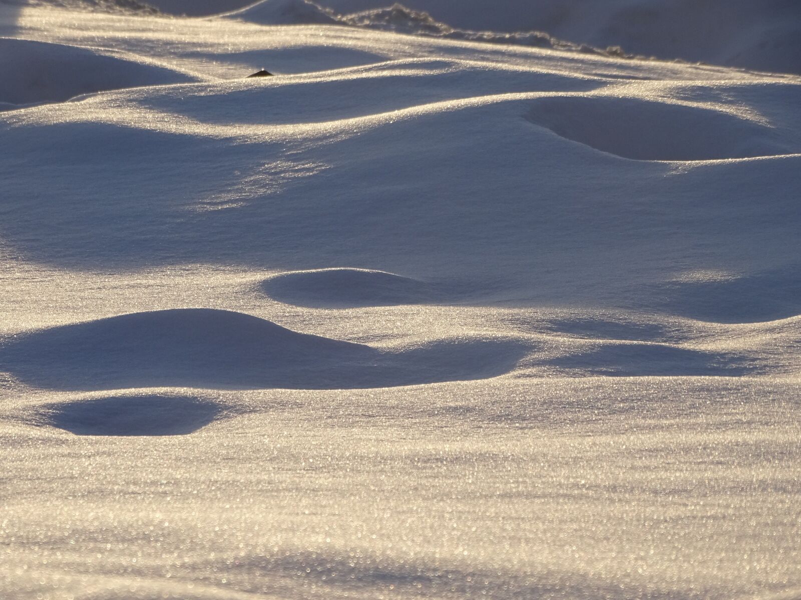 Sony DSC-HX400 sample photo. Desert, sand, landscape photography