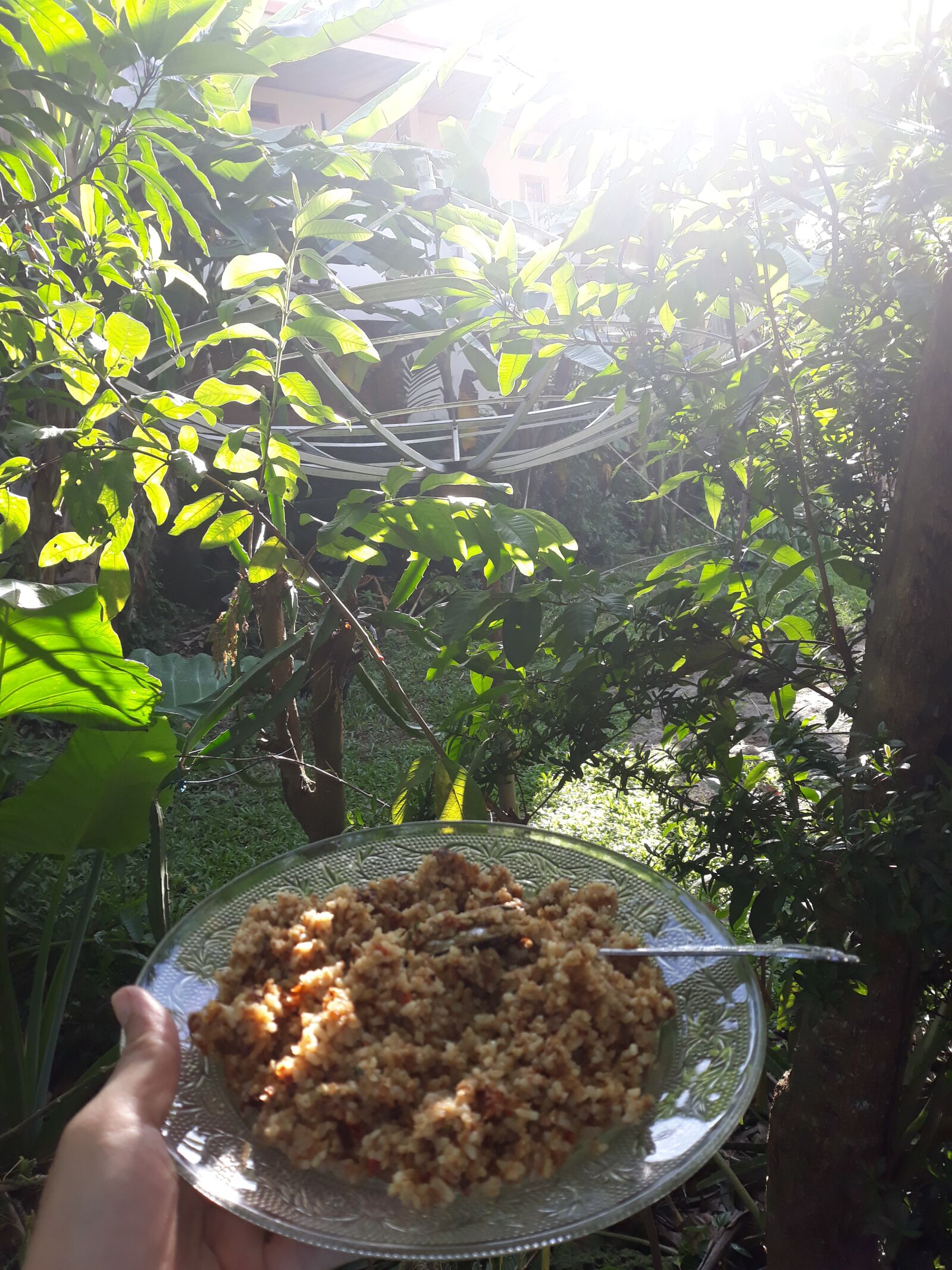 Samsung Galaxy J7 Pro sample photo. Sunlight, friedrice, foodoutdoor photography