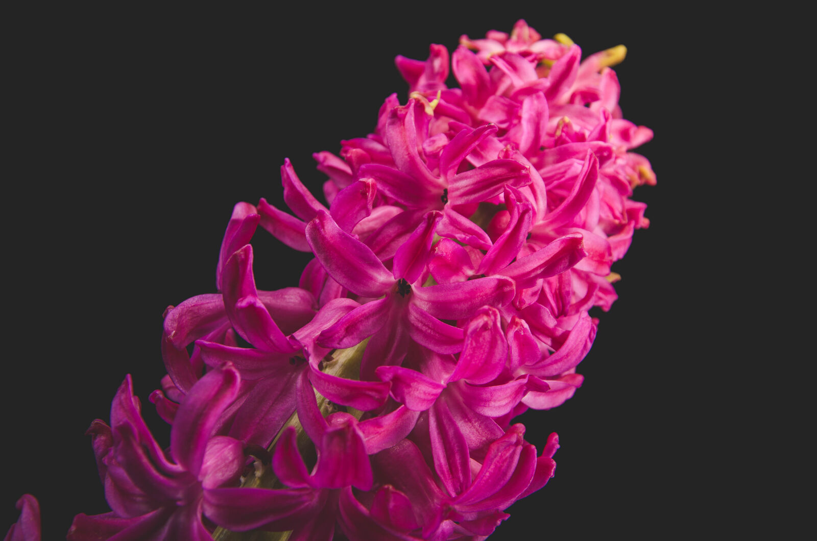 Nikon D5100 sample photo