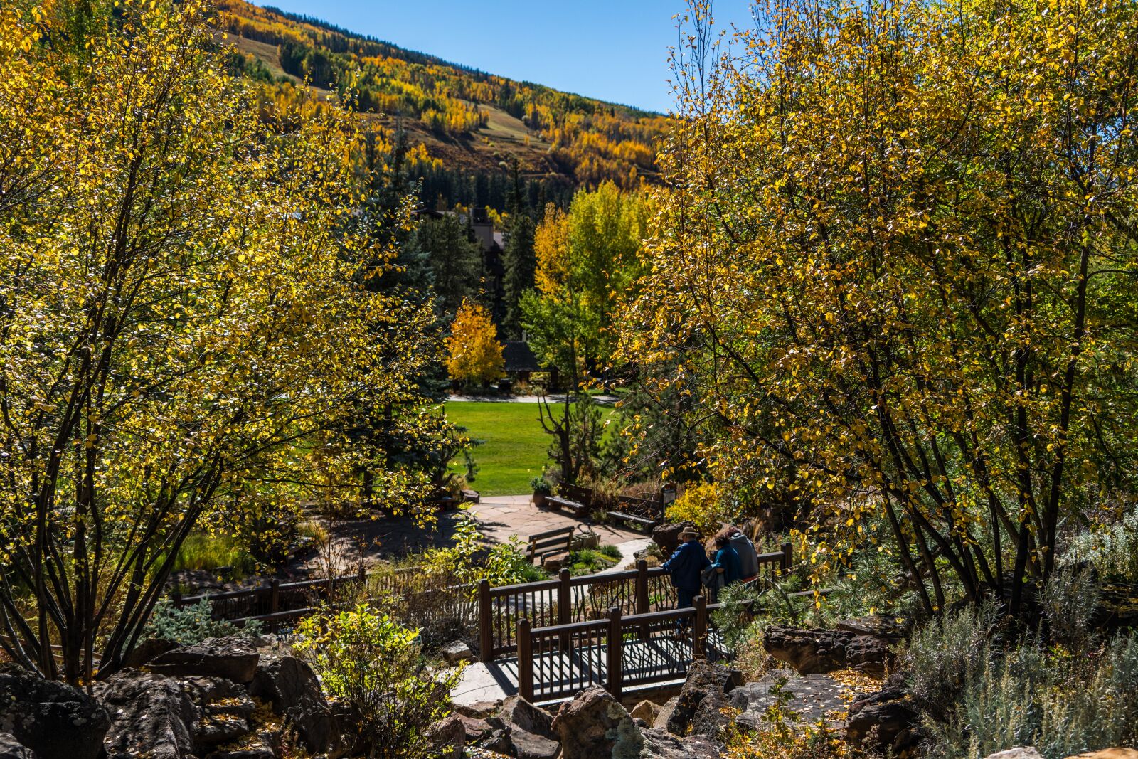 Sony a7R II + Sony FE 24-240mm F3.5-6.3 OSS sample photo. Vail, colorado, betty ford photography