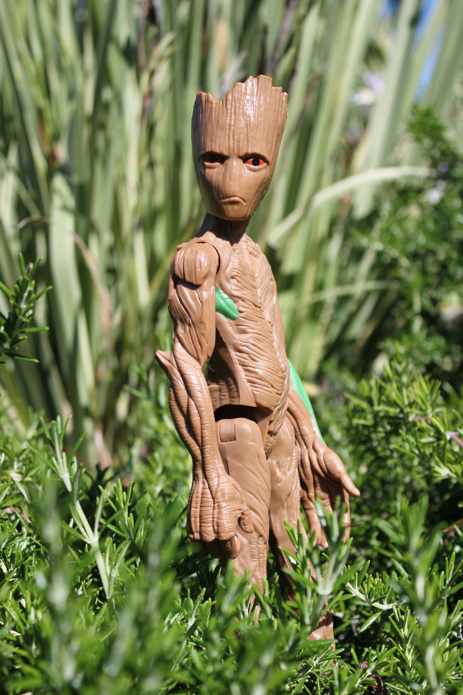 Canon EOS 550D (EOS Rebel T2i / EOS Kiss X4) sample photo. Avengers, groot, superhero photography
