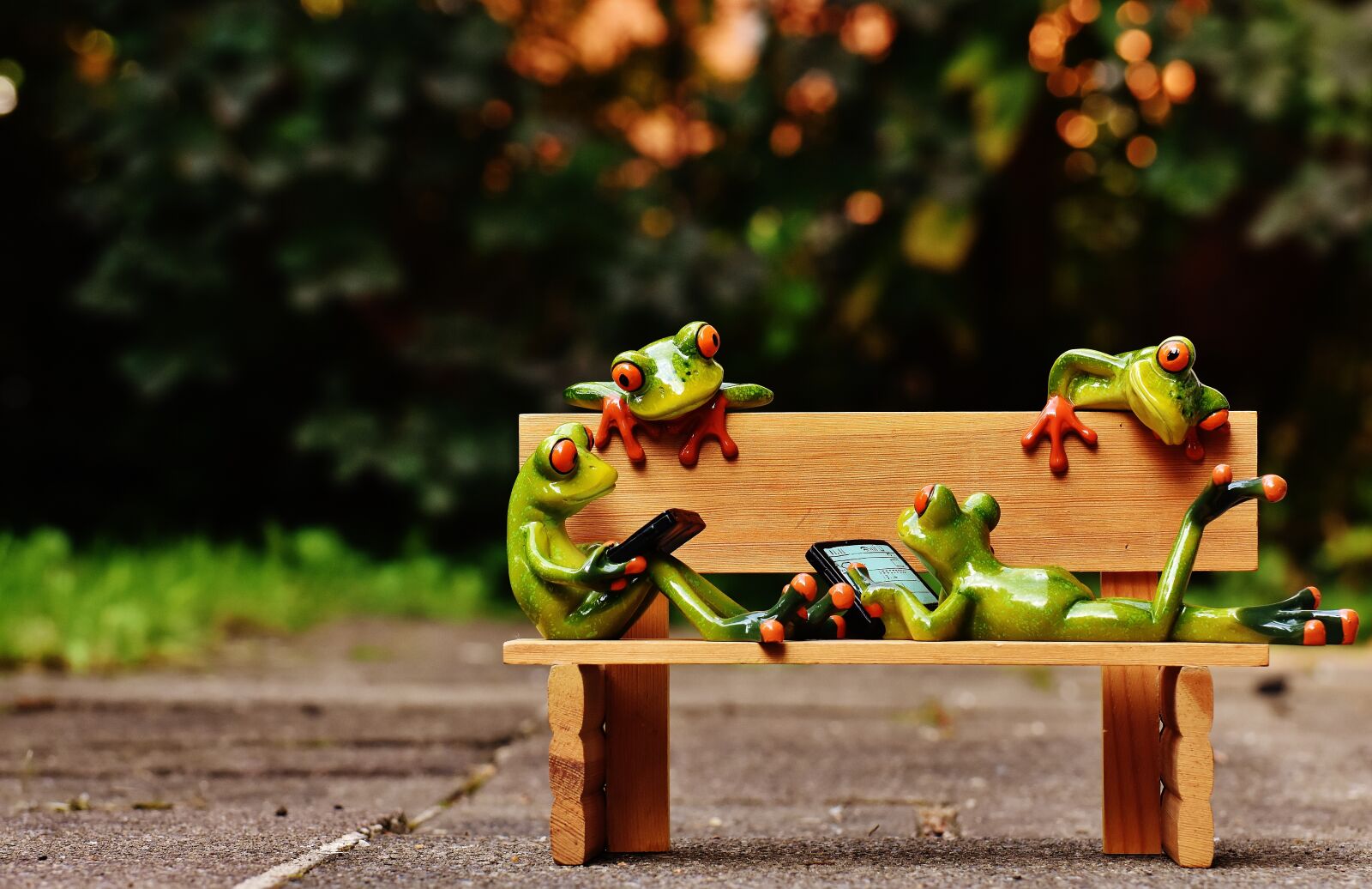 Nikon D7200 sample photo. Frogs, computer, bank photography