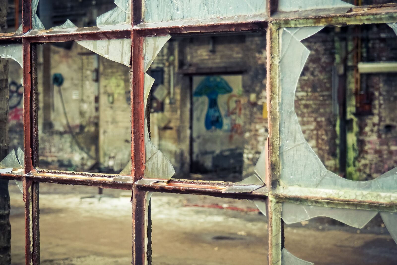 Olympus OM-D E-M10 sample photo. Lost places, window, abandoned photography