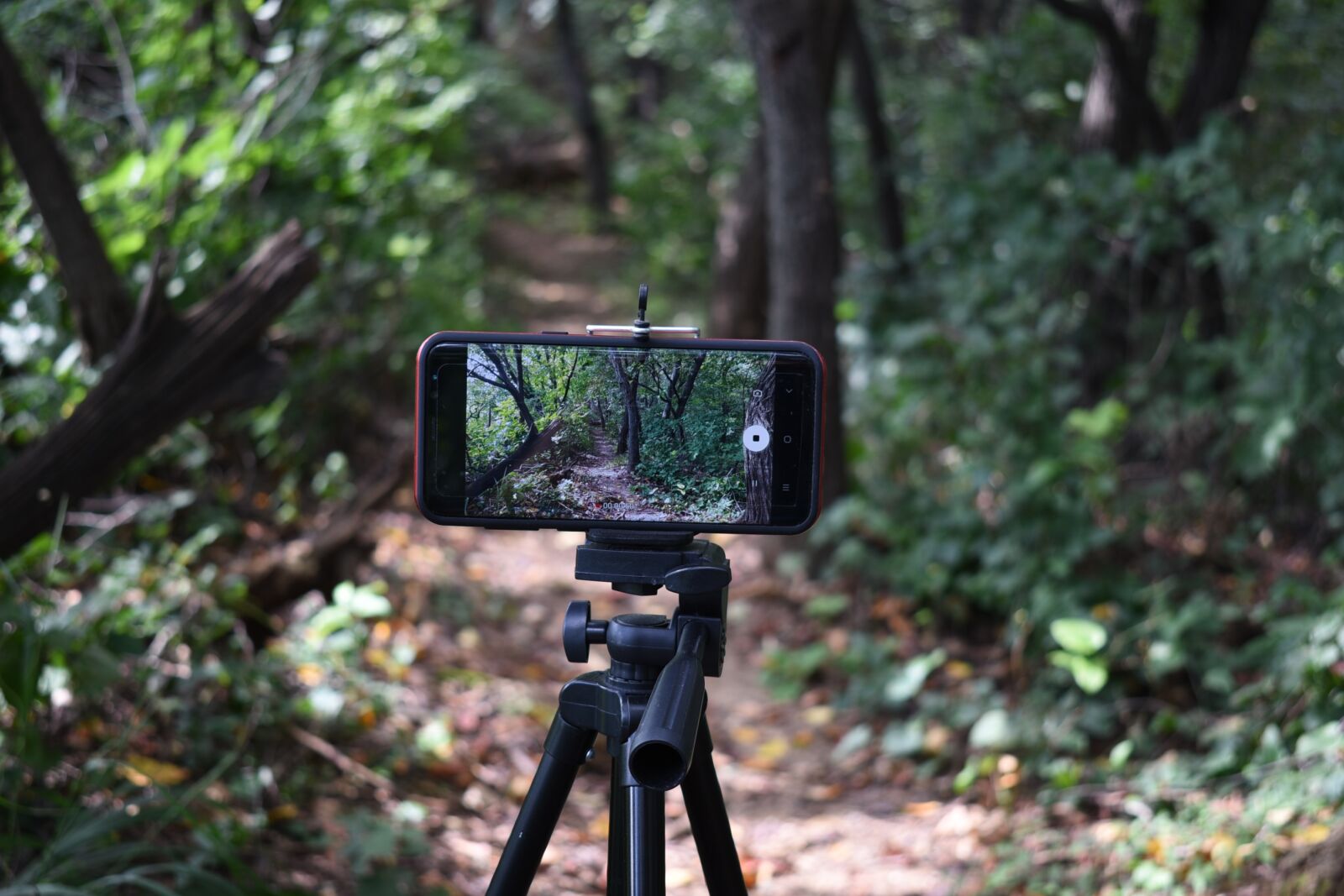 Nikon D750 sample photo. Smartphones, unattended, shooting photography
