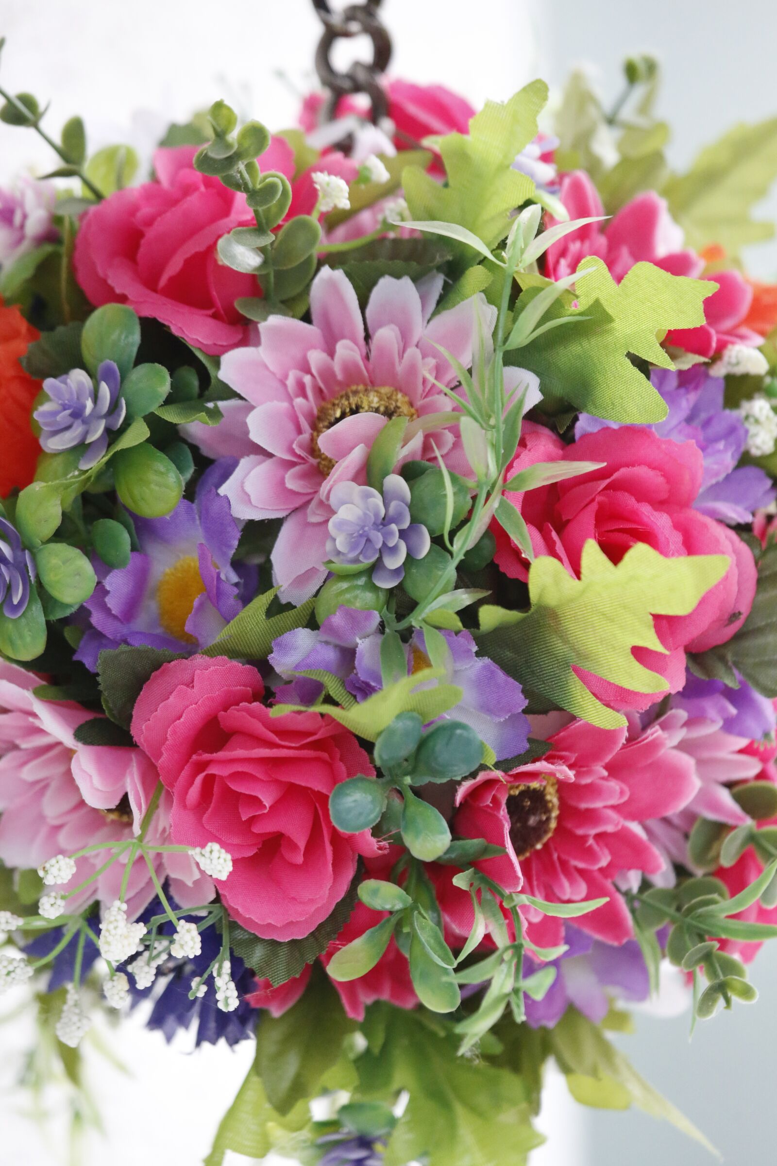 Canon EF 100-400mm F4.5-5.6L IS USM sample photo. Flowers, spring, beauty photography