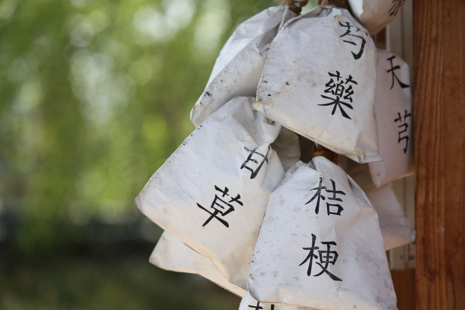 Canon EOS 450D (EOS Rebel XSi / EOS Kiss X2) sample photo. About, chinese medicine, herbal photography