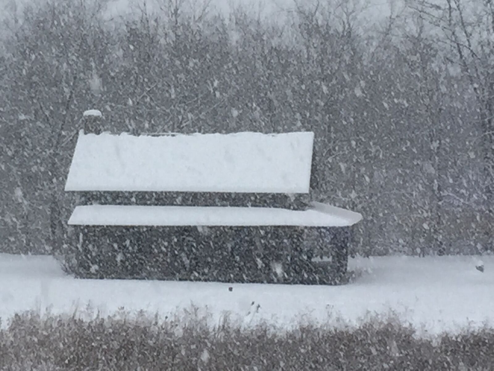 Apple iPhone 6 sample photo. Cabinsnowstorm photography
