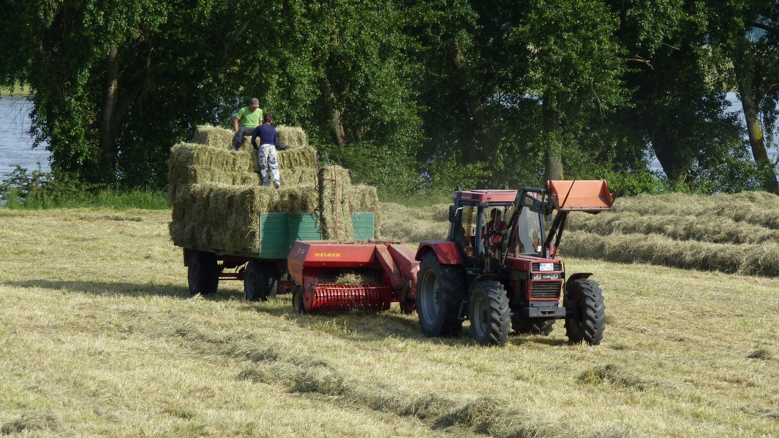 Panasonic Lumix DMC-FZ35 (Lumix DMC-FZ38) sample photo. Tractors, agriculture, tractor photography