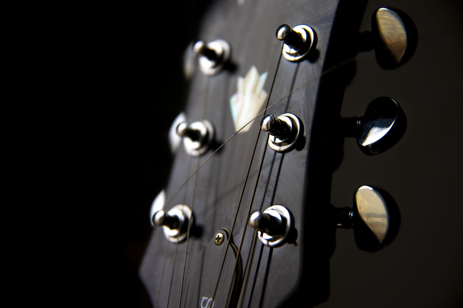 Canon 24-70mm F2.8 DG OS HSM | Art 017 sample photo. Close up, guitar, head photography