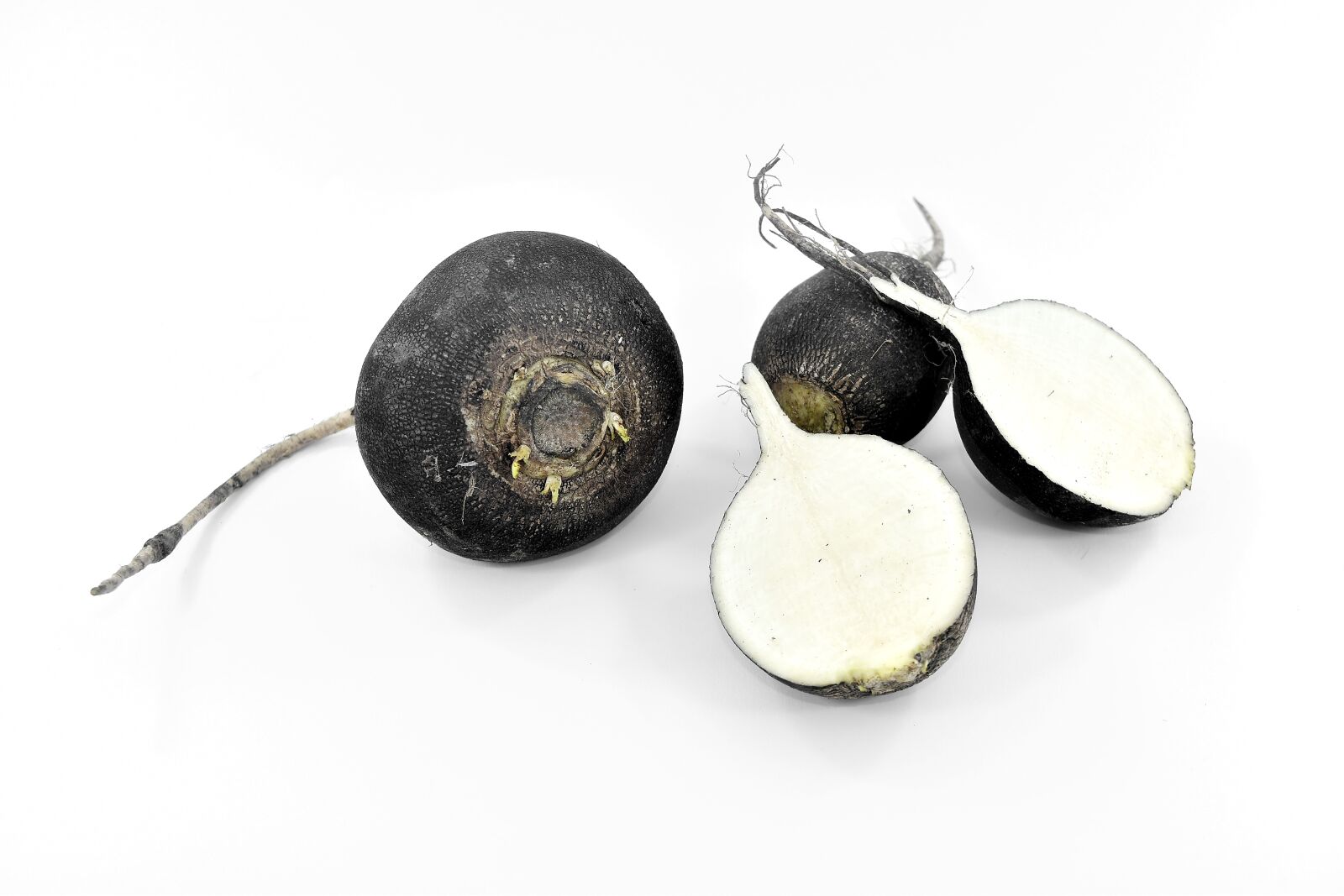 Nikon D5500 sample photo. Black and white, radish photography