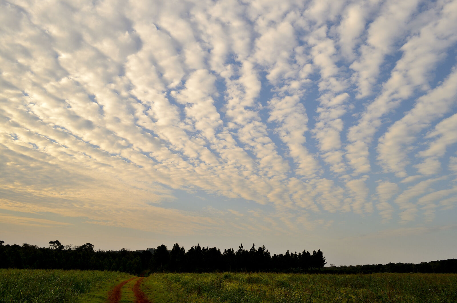 Nikon D5100 sample photo