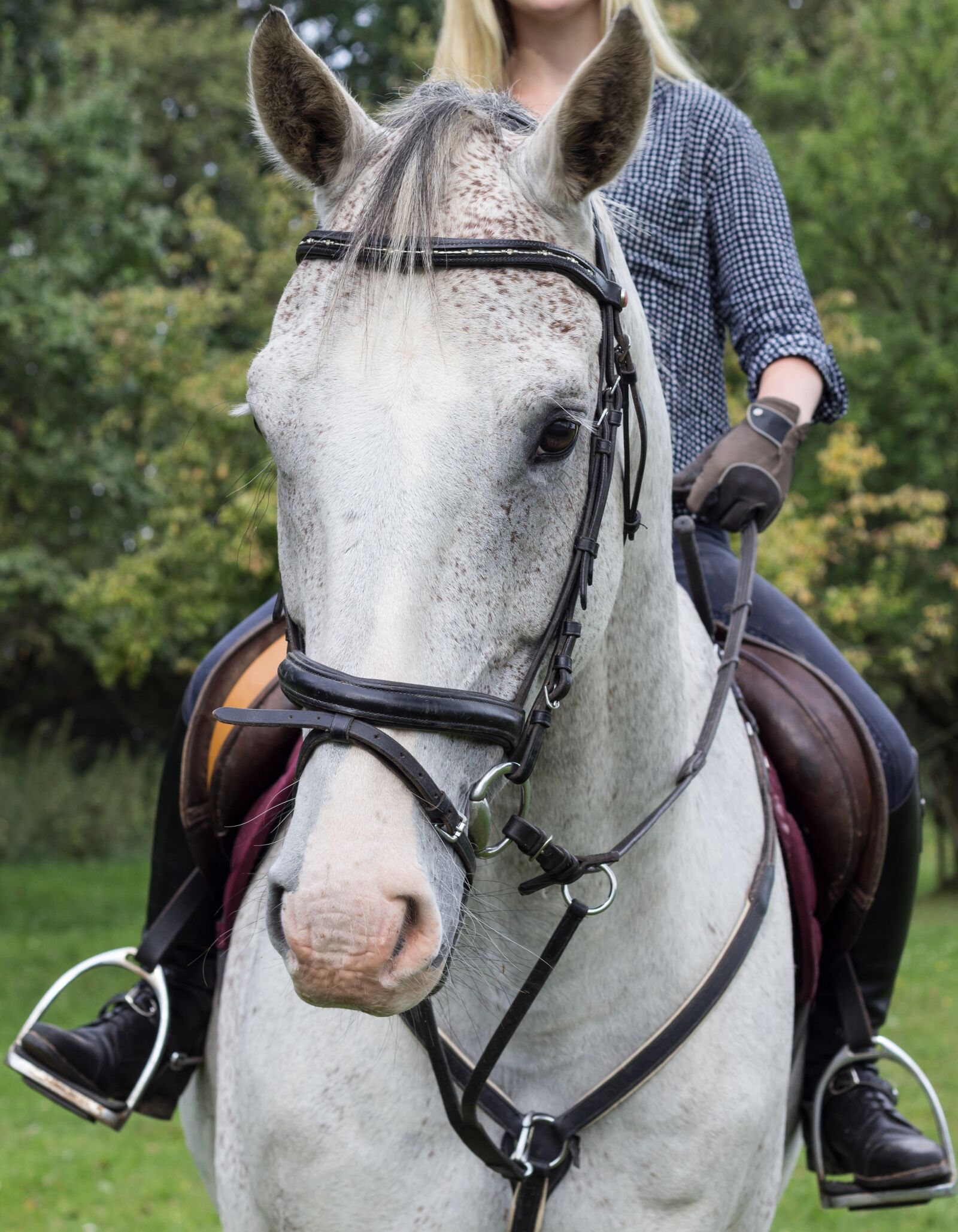 Canon EOS 600D (Rebel EOS T3i / EOS Kiss X5) + Canon EF 50mm F1.8 II sample photo. Horse, head, horsewoman photography