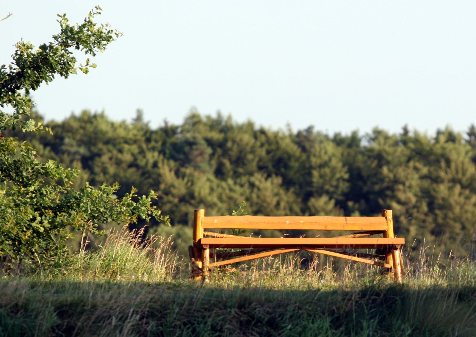 Canon EOS 20D sample photo. Bank, walk, summer photography