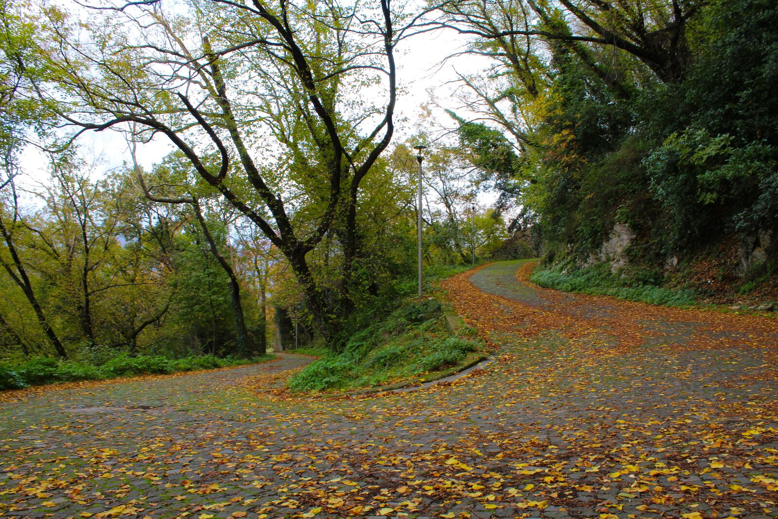 Canon EOS 4000D (EOS Rebel T100 / EOS 3000D) sample photo. Autumn, mountain, travel photography