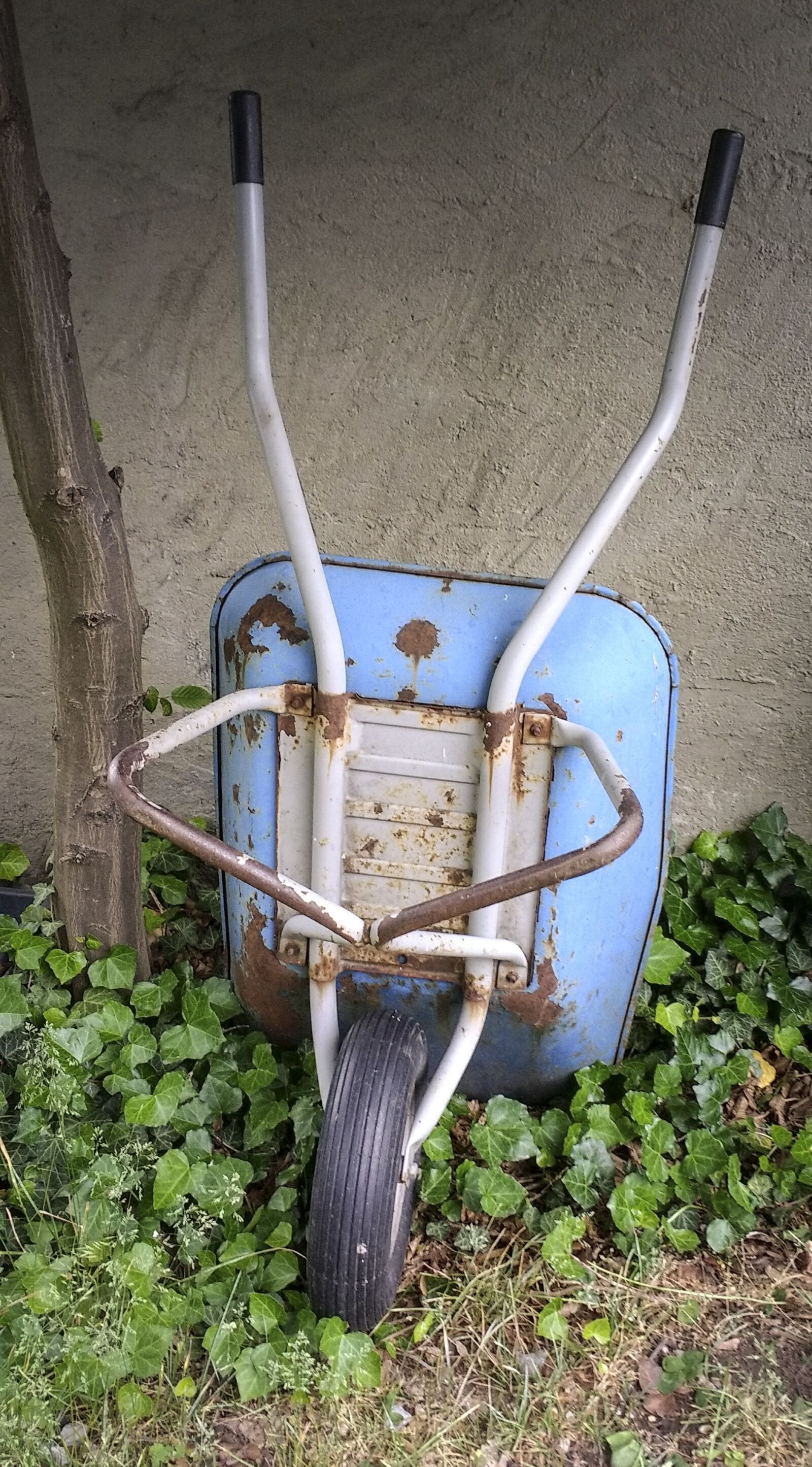 Motorola Moto G (4) sample photo. Wheelbarrow, garden, gardening photography