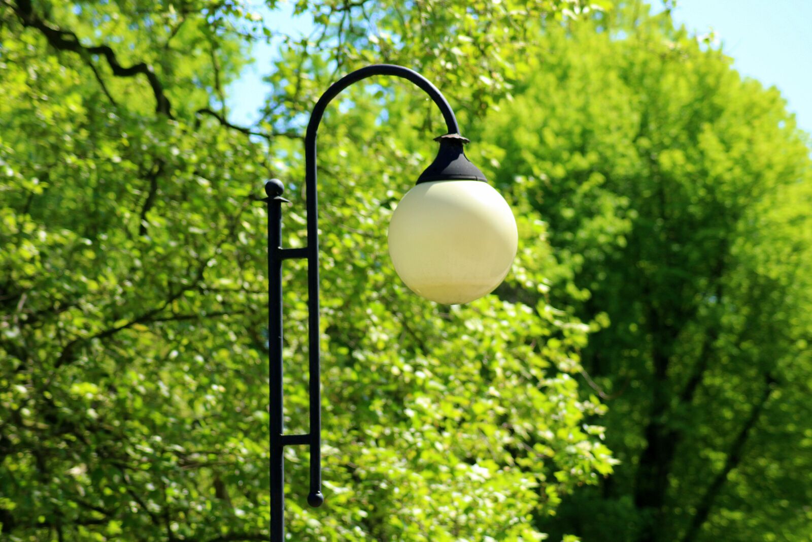 Canon EOS 1200D (EOS Rebel T5 / EOS Kiss X70 / EOS Hi) sample photo. Replacement lamp, lighting, park photography