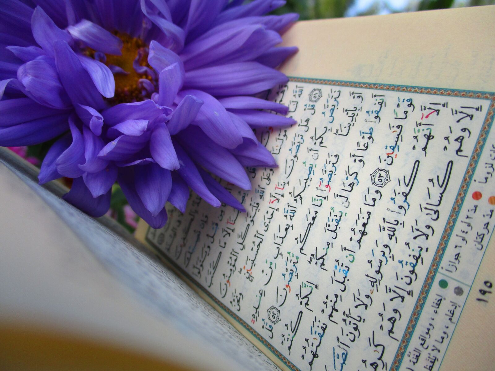 Canon IXUS 185 sample photo. Quran, shrine, scripture photography