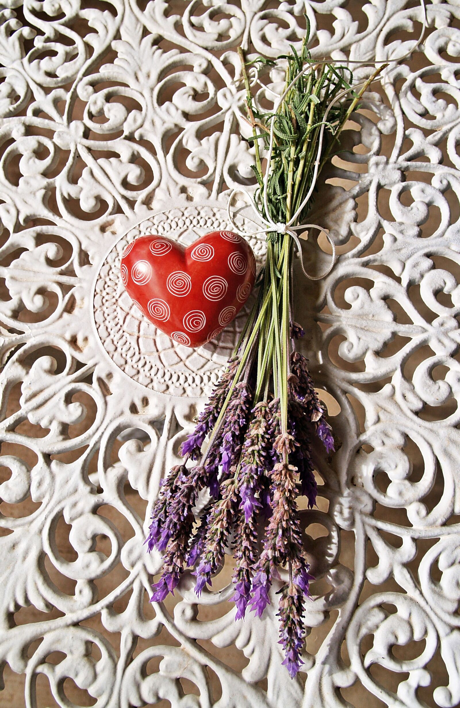 Olympus E-300 (EVOLT E-300) sample photo. Heart, red, iron lace photography