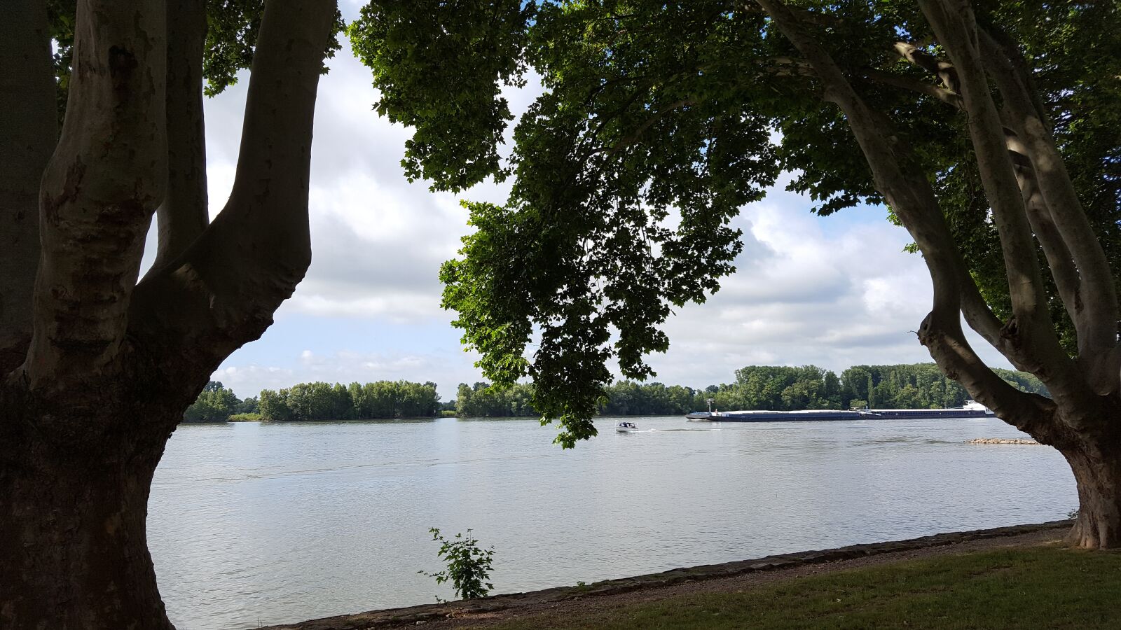 Samsung GALAXY S6 edge sample photo. Rhine, rhine river, geisenheim photography
