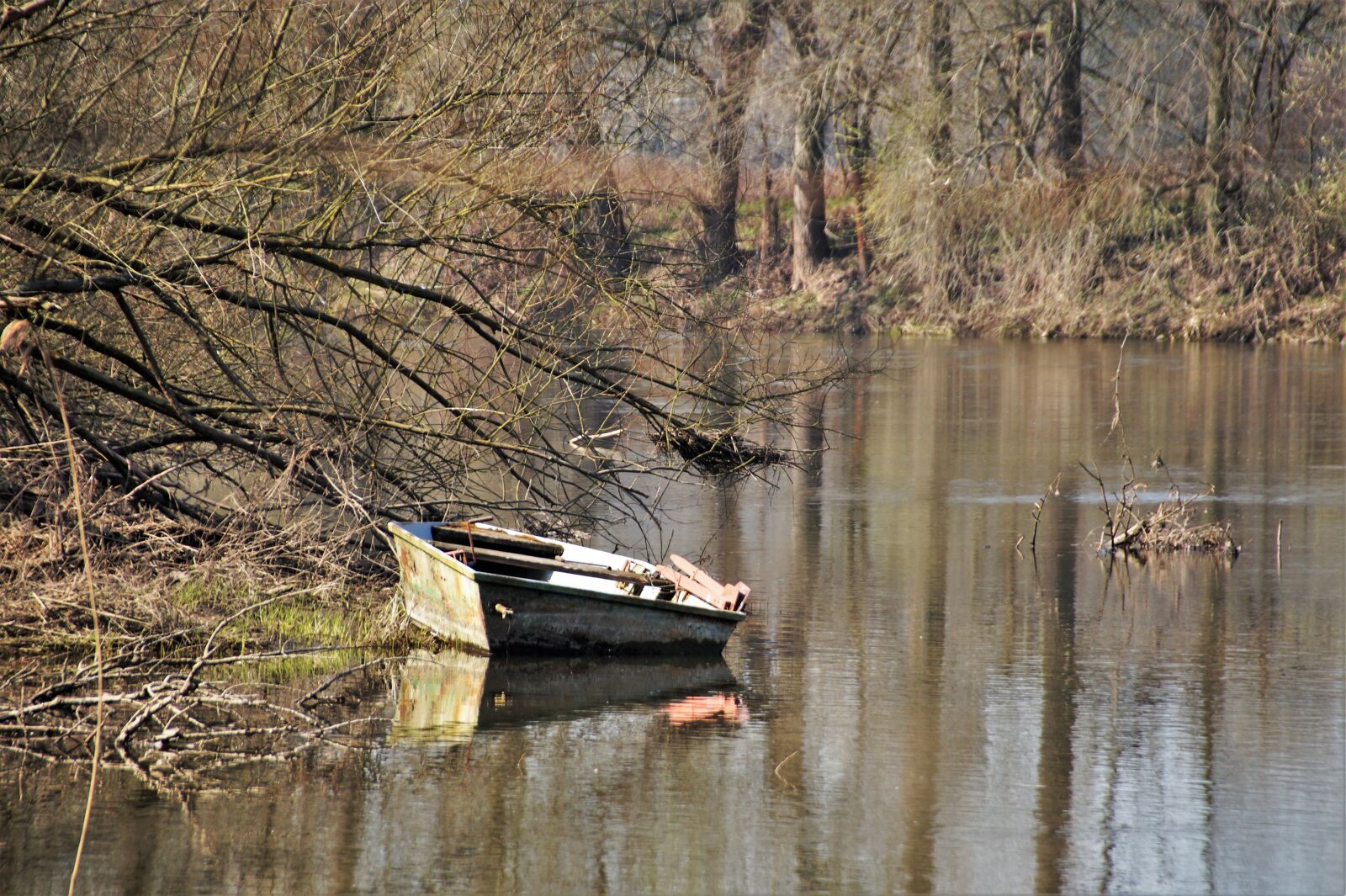 Sony SLT-A58 sample photo. River, nature, vernal photography