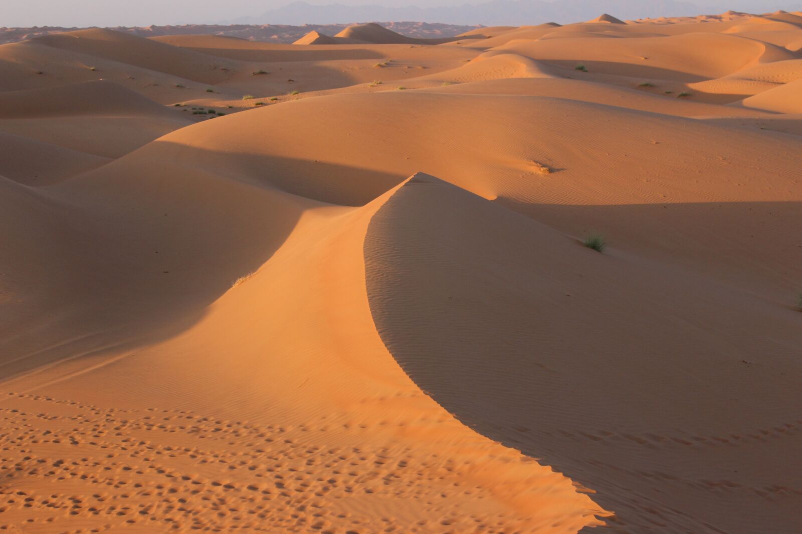 Canon EOS 100D (EOS Rebel SL1 / EOS Kiss X7) sample photo. Desert, shadow, sand photography