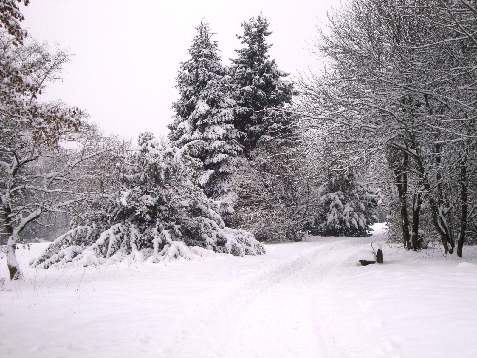 Sony DSC-W210 sample photo. Winter, snow, wintry photography