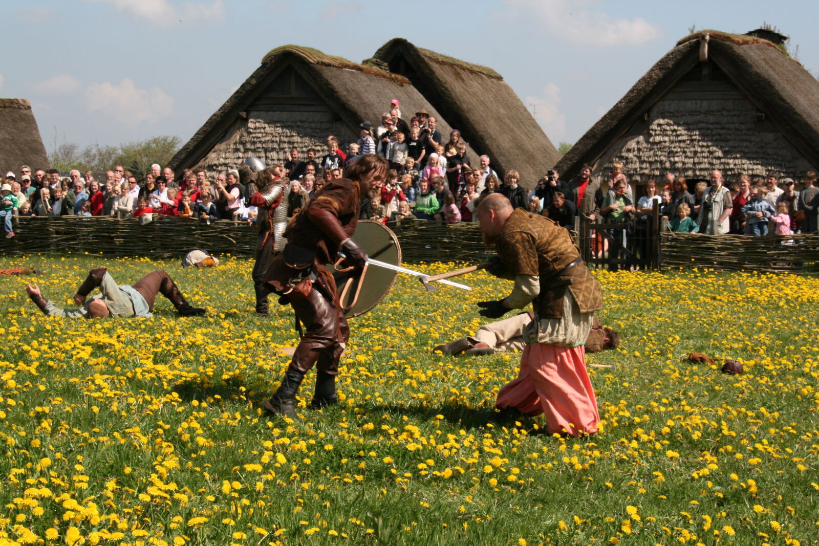 Sigma 18-200mm f/3.5-6.3 DC OS sample photo. Vikings photography